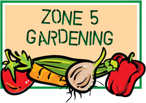 Zone 5 Gardening